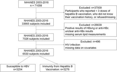 Exploring blood lipids-immunity associations following HBV vaccination: evidence from a large cross-sectional study